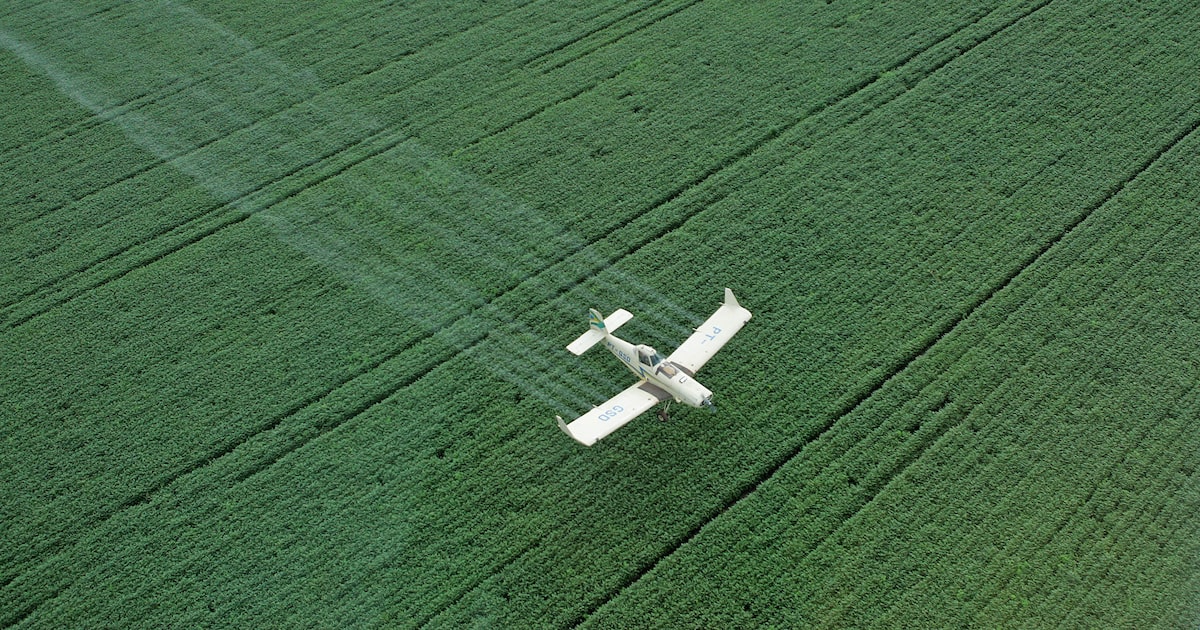 Sell Agro projeta faturar R$ 90 milhões em 2026 com expansão para o Paraguai e foco na eficiência de defensivos