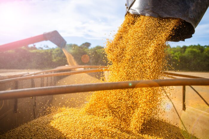 Brasil Rumo ao Recorde: Projeção de 61 Milhões de Toneladas de Soja em 2026, com Foco no Mercado Internacional e Clima Favorável