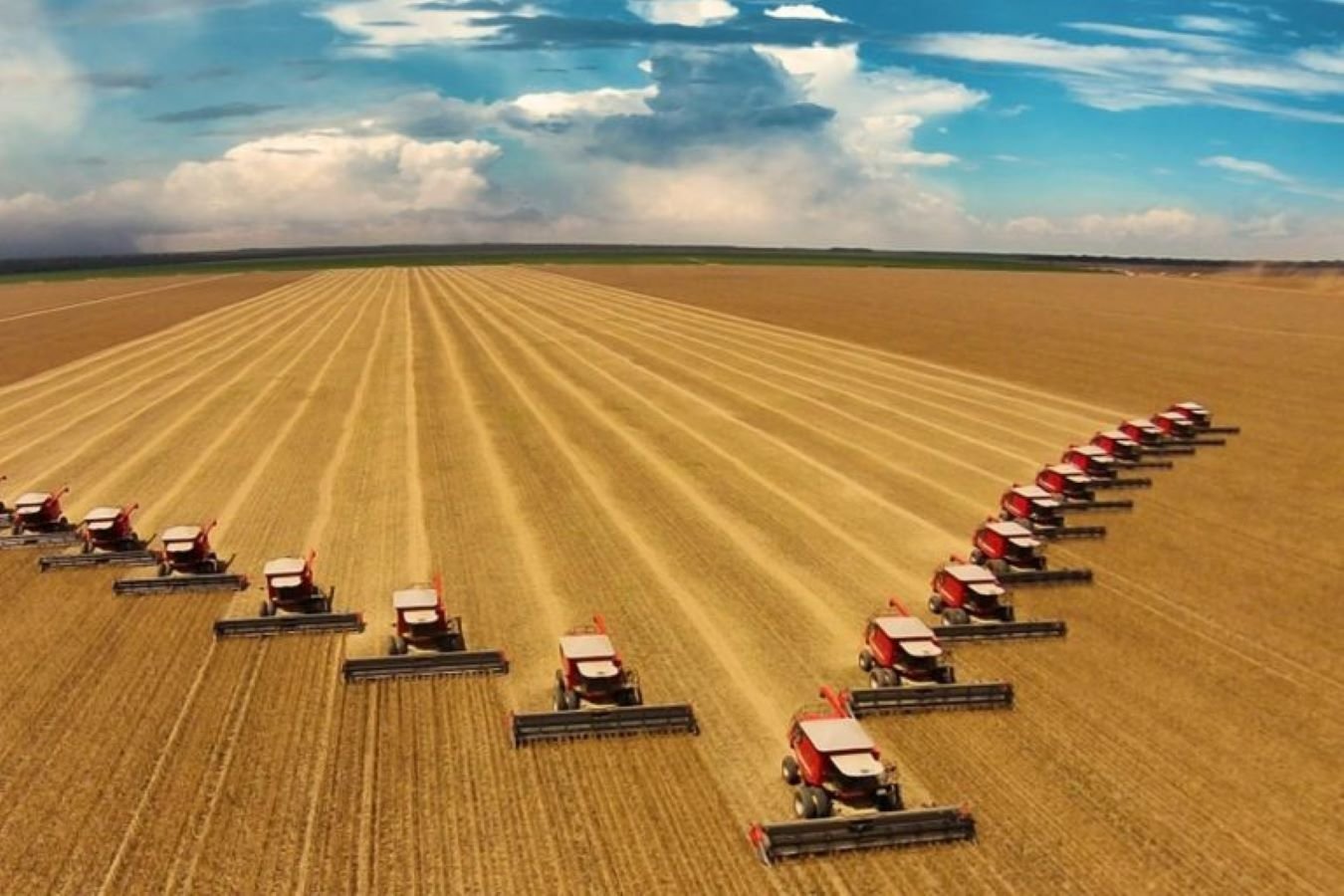 "Exportações Agropecuárias Impulsionam Superávit Comercial do Brasil em Meio a Desafios Externos"