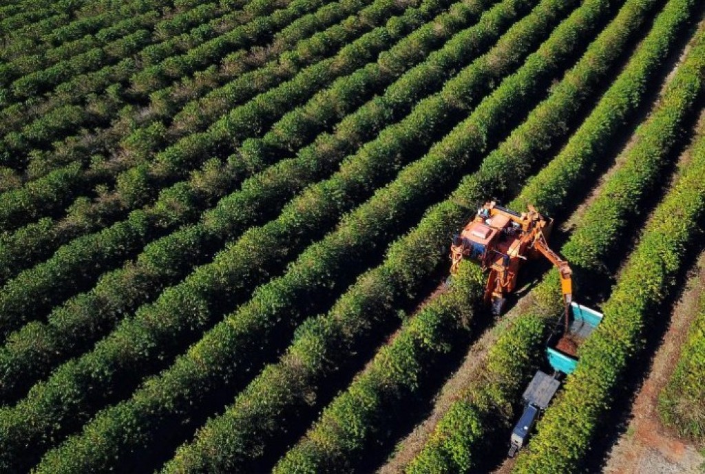 BRDE Impulsiona Agronegócio no Paraná com R$ 1,26 Bilhão em Crédito Rural em 2025, Focando na Show Rural Coopavel 2026 e Implementação da Reforma Tributária