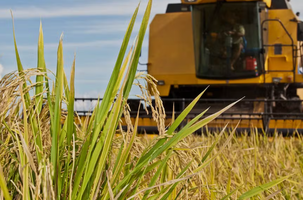 Diesel sobe e pressiona o agronegócio brasileiro: até R$ 355 por hectare, com maior impacto em cana e arroz