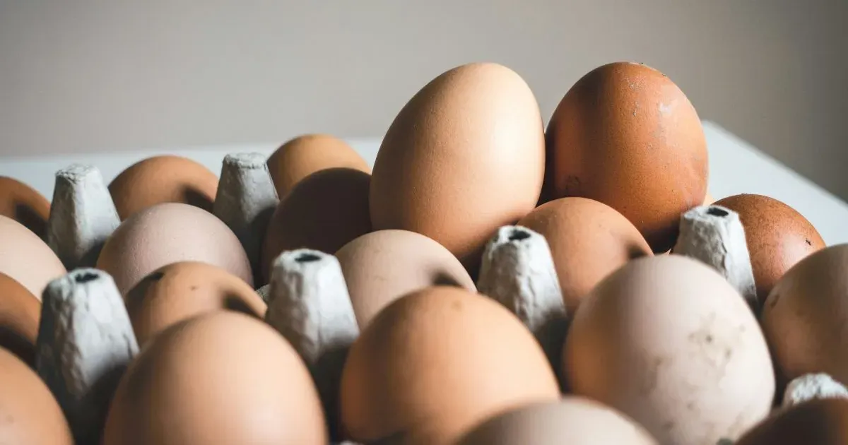 "Desvalorização do Frango Vivo Impacta Poder de Compra dos Avicultores Paulistas em 3 Meses de Queda Consecutiva"