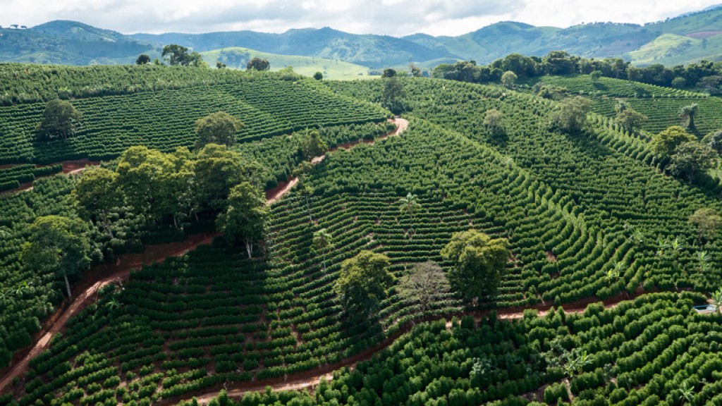 Avanços na Cafeicultura: Inteligência Geoespacial Transforma Minas Gerais e Impulsiona o Agro em SP