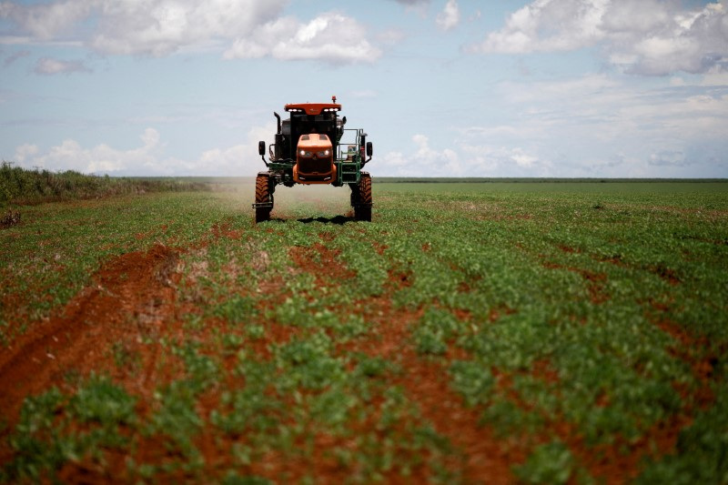 Inovações Sustentáveis: Brasil Lidera na Busca por Patentes de Biofertilizantes e Biodefensivos para Agricultura Verde