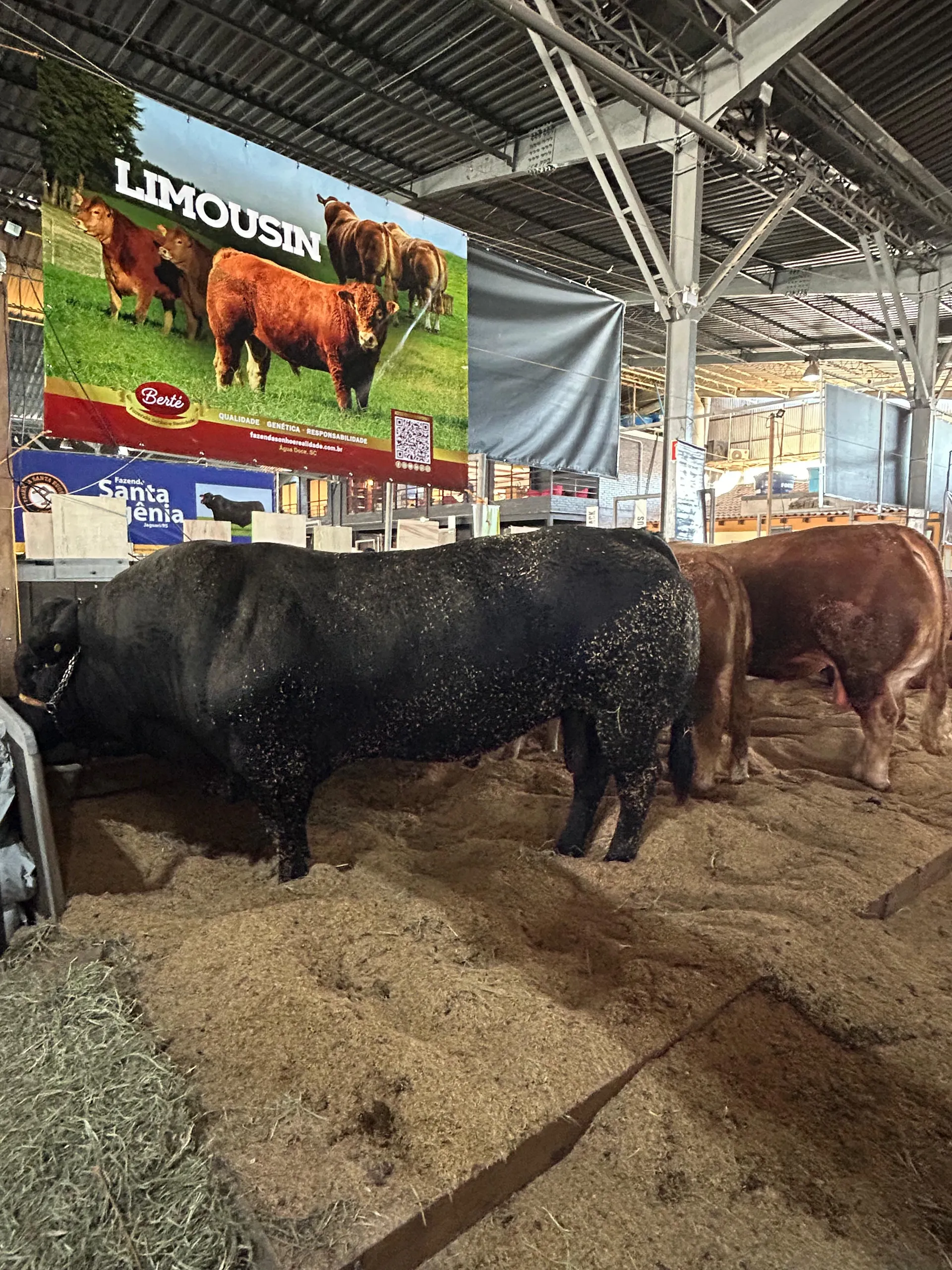49ª Expointer será lançada na segunda-feira no Palácio Piratini