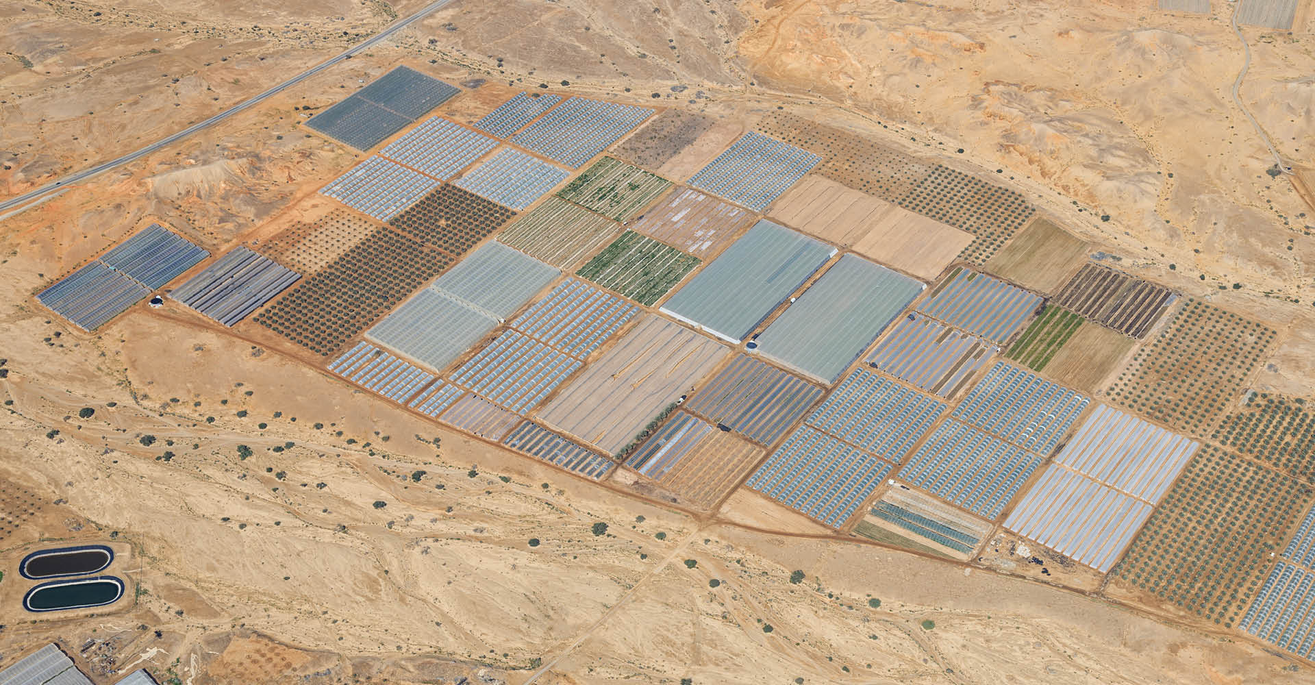 Inovações Tecnológicas de Israel Revolucionam a Agricultura Brasileira: Do Holocausto ao Crescimento Sustentável.