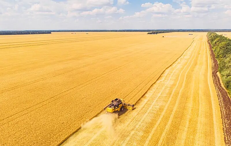 "Brasil Rumo ao Recorde na Produção de Soja em 2026: Crescimento e Desafios"