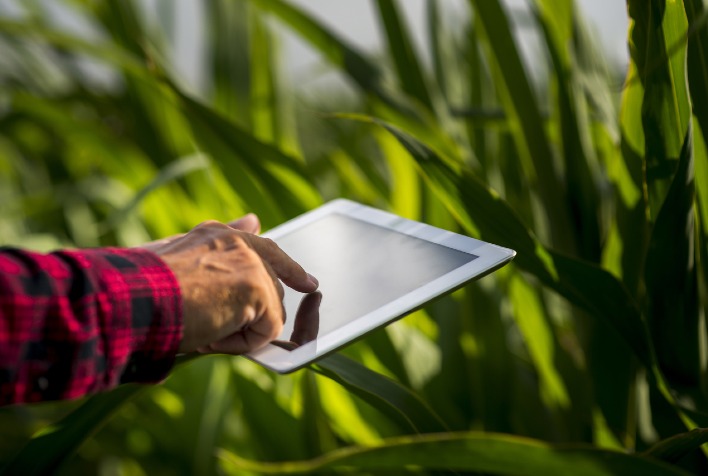 Transformação Digital no Agro: Case de Sucesso da RayQuímica Impulsiona Crescimento de R$ 8 Milhões com Estratégia de Previsibilidade