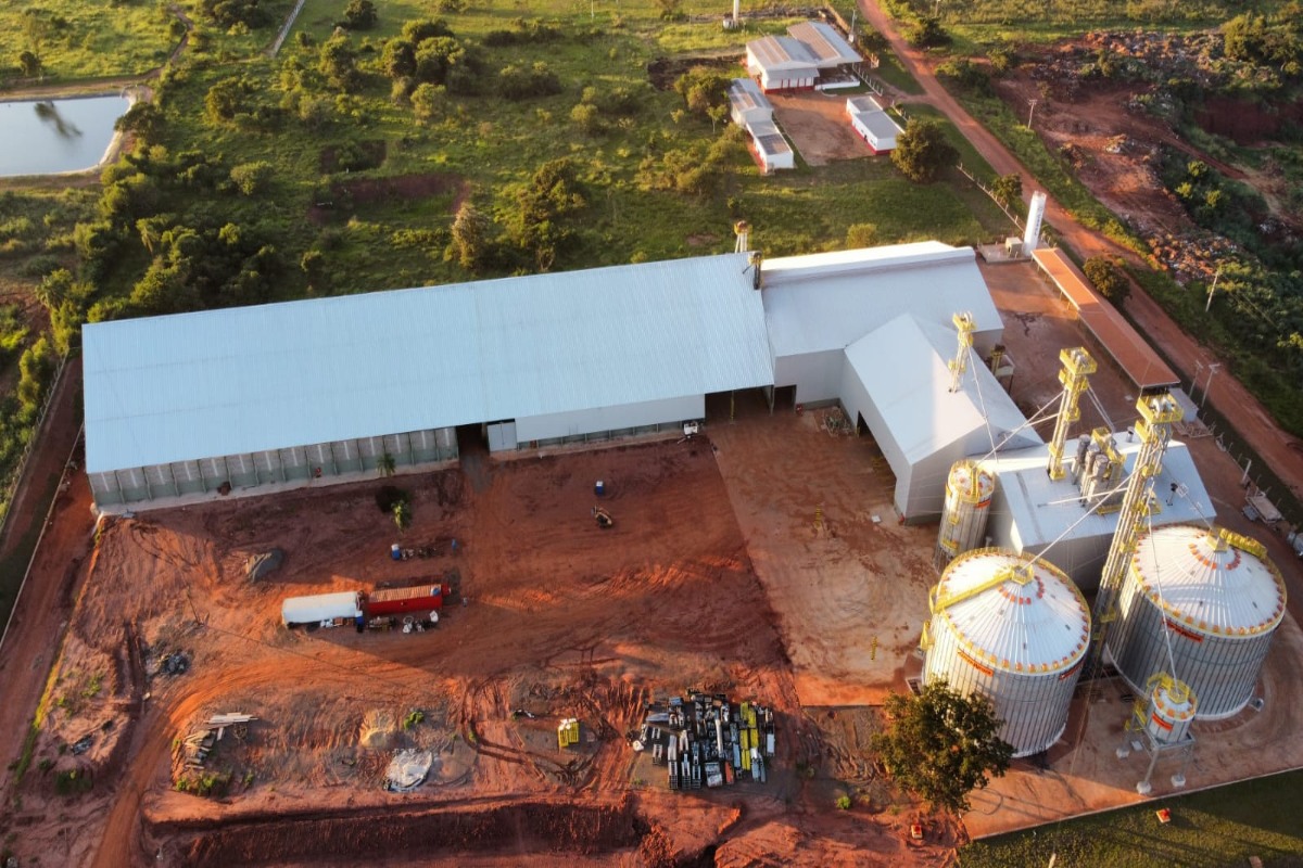 Insegurança Jurídica Adia Beneficiamento de Amendoim em MS: Impactos no Investimento de R$ 120 Milhões da Casul