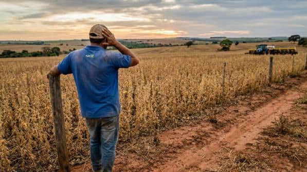 Renegociação de Dívidas Rurais em Debate no Senado: Governo e Produtores Disputam Critérios do Plano Safra 2026, Juros e Crédito Rural