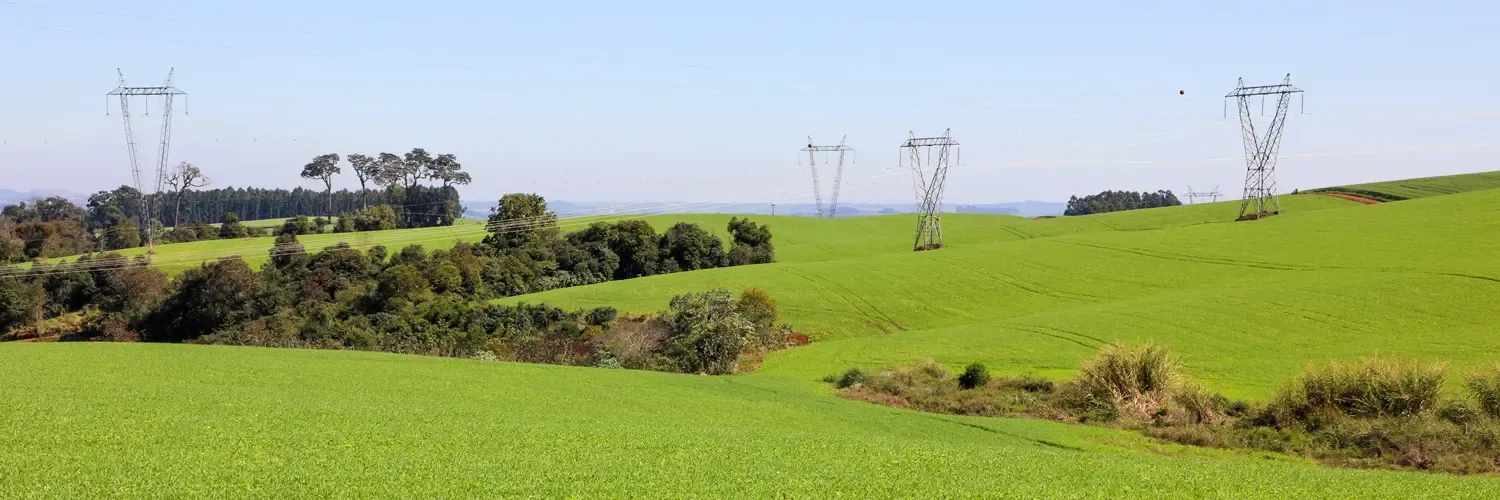 "Conflito Normativo: Sistema FAEP Alerta para Insegurança Jurídica na Limpeza de Faixas de Linhas Elétricas por Produtores Rurais"