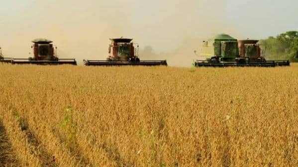 Santander aponta Norte como motor do crescimento do Brasil em 2026-2027, com mineração e agronegócio em destaque