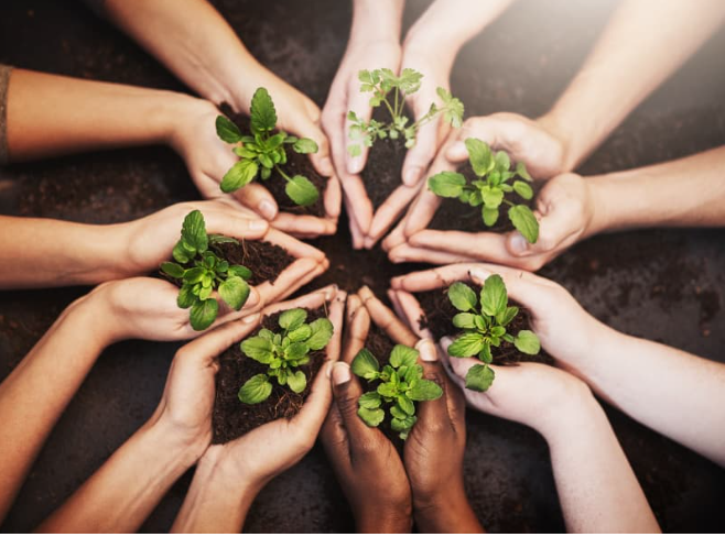 Brasil: celeiro de plantas e liderança em deep tech — como agricultura, biodiversidade e biofertilizantes impulsionam a indústria sustentável