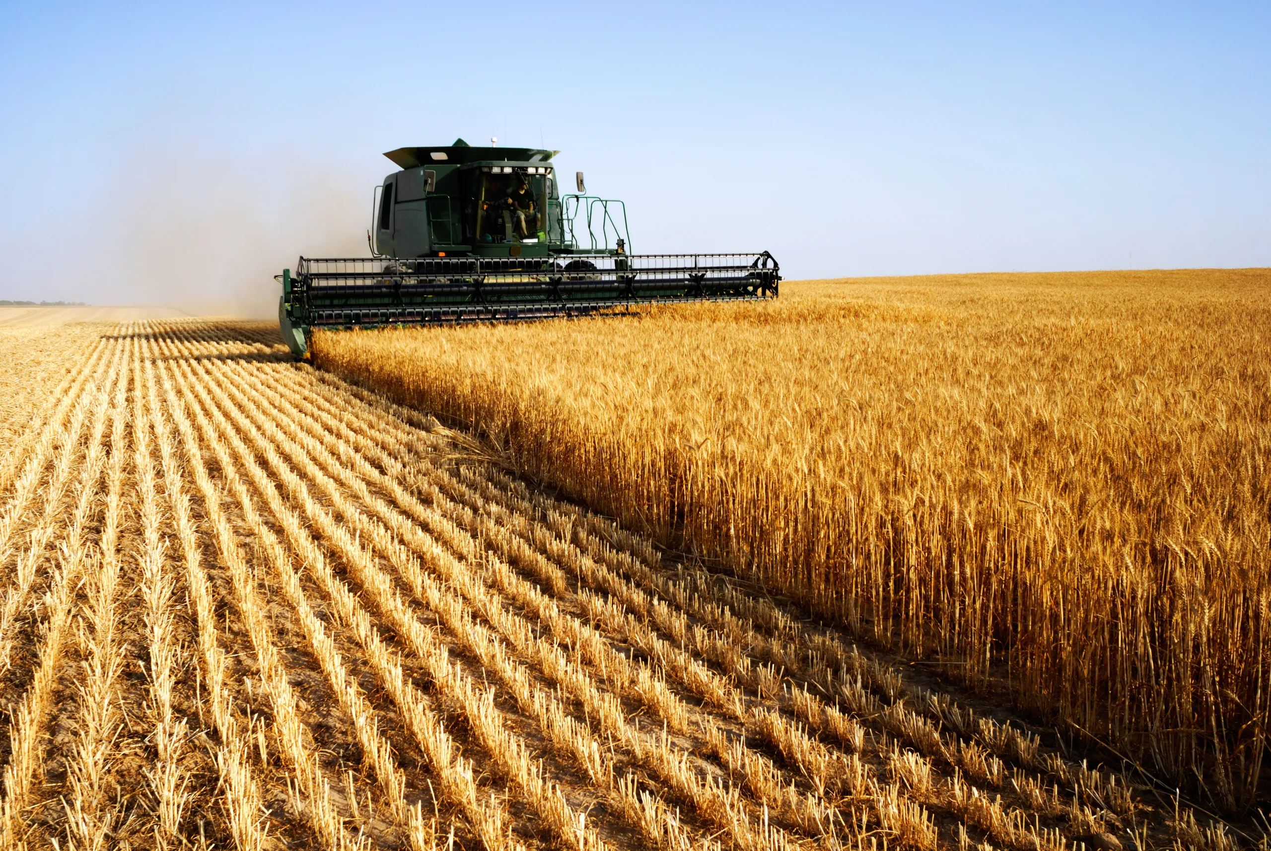 Agropecuária impulsiona PIB brasileiro, que cresce 0,5% no 2º trimestre