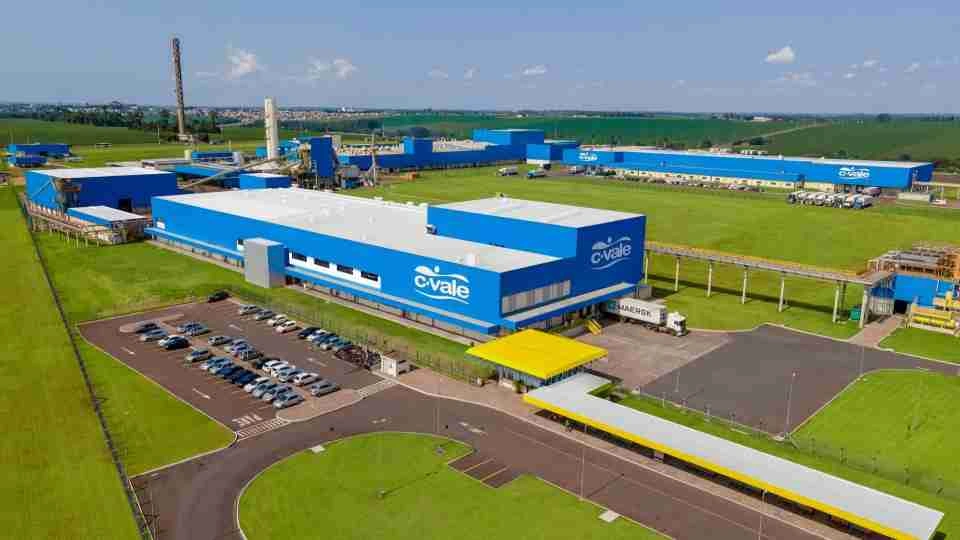 C.Vale registra 2025 histórico na piscicultura: 50,8 milhões de tilápias entregues e abates históricos no Paraná