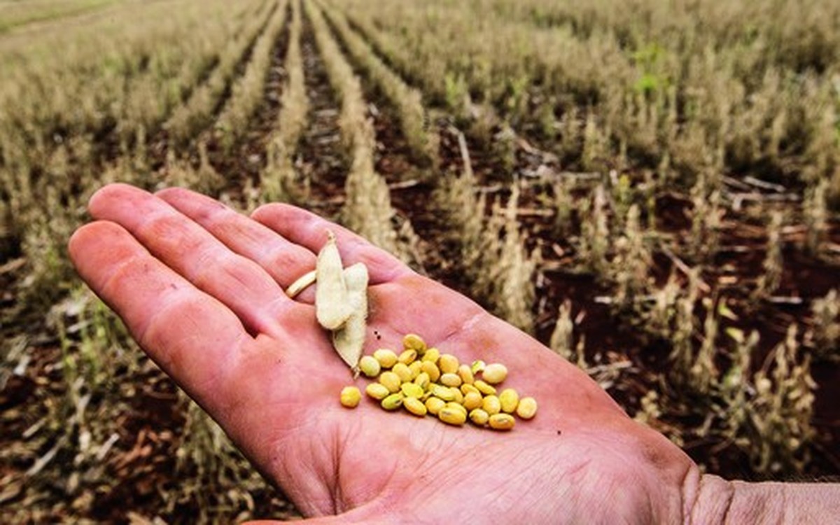 Seguro Rural: atrasos na subvenção impactam o caixa das seguradoras, pressionam o Proagro/PSR e o orçamento para 2026