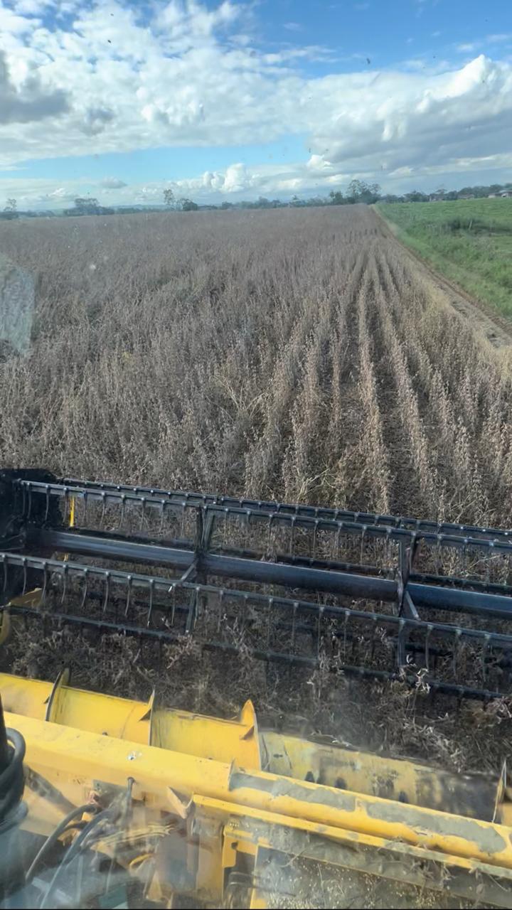 Safra 2025/26 avança no Brasil, mas agronegócio encara tarifas, clima adverso e incerteza geopolítica