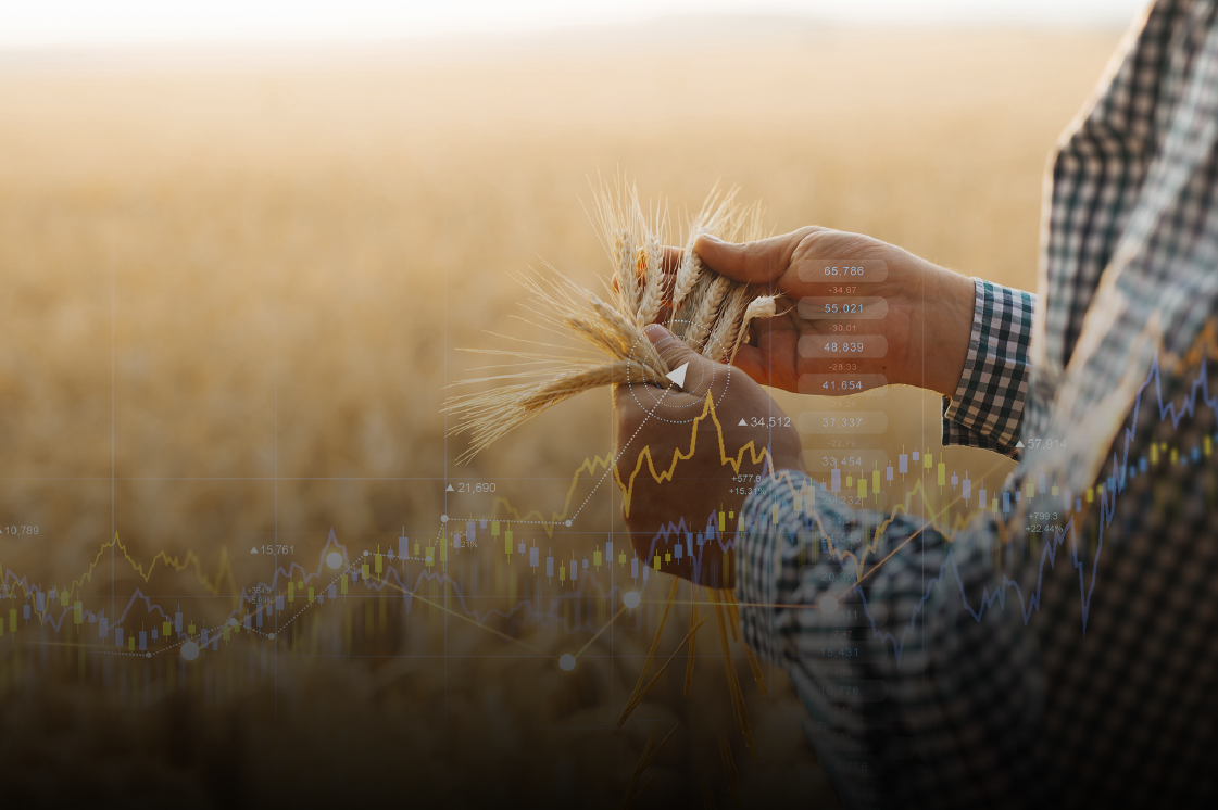 Safra Verão 2026 e Mercado Global de Commodities