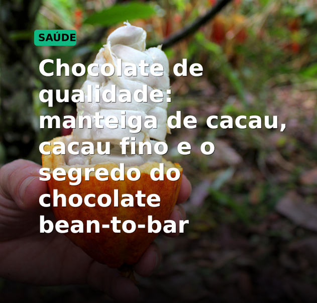 Chocolate de qualidade: manteiga de cacau, cacau fino e o segredo do chocolate bean-to-bar