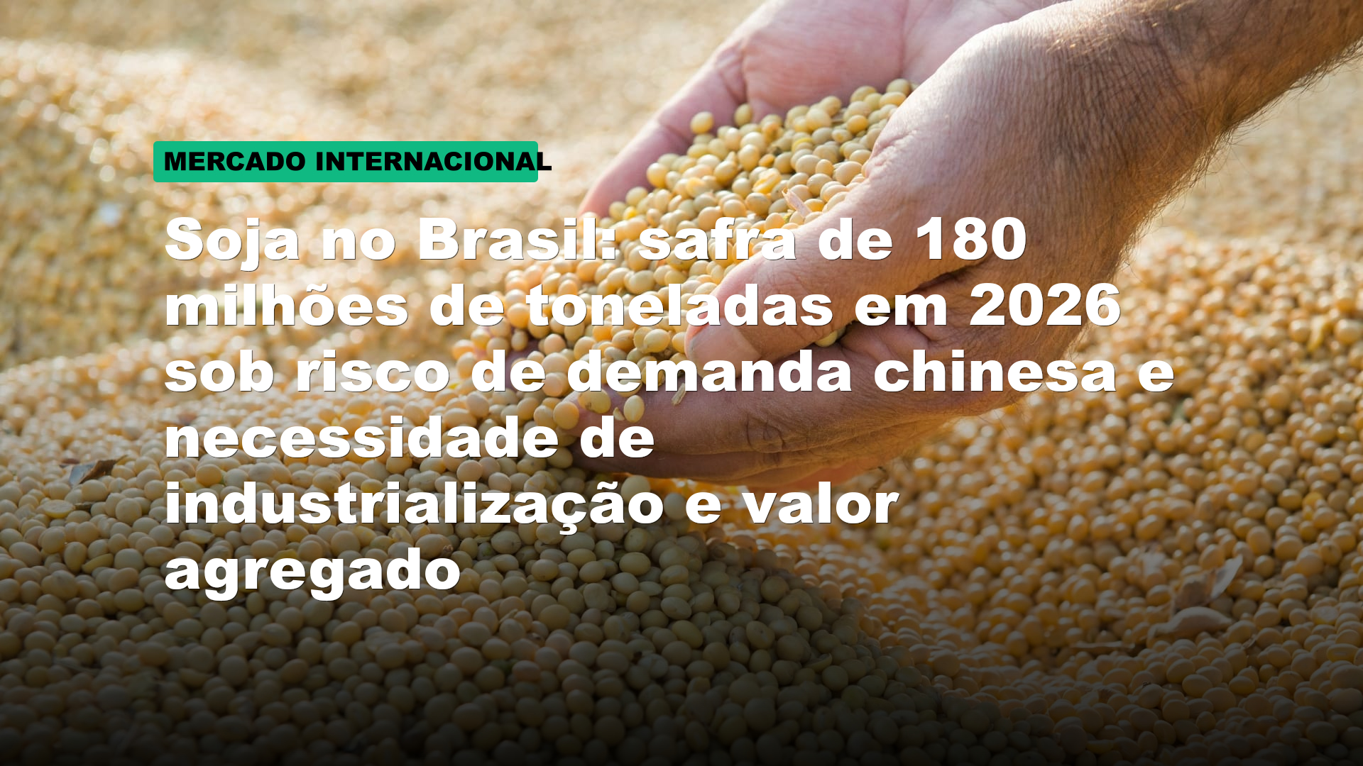 Soja no Brasil: safra de 180 milhões de toneladas em 2026 sob risco de demanda chinesa e necessidade de industrialização e valor agregado