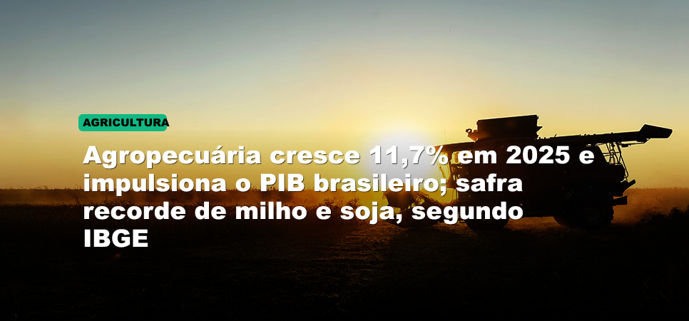Agropecuária cresce 11,7% em 2025 e impulsiona o PIB brasileiro; safra recorde de milho e soja, segundo IBGE