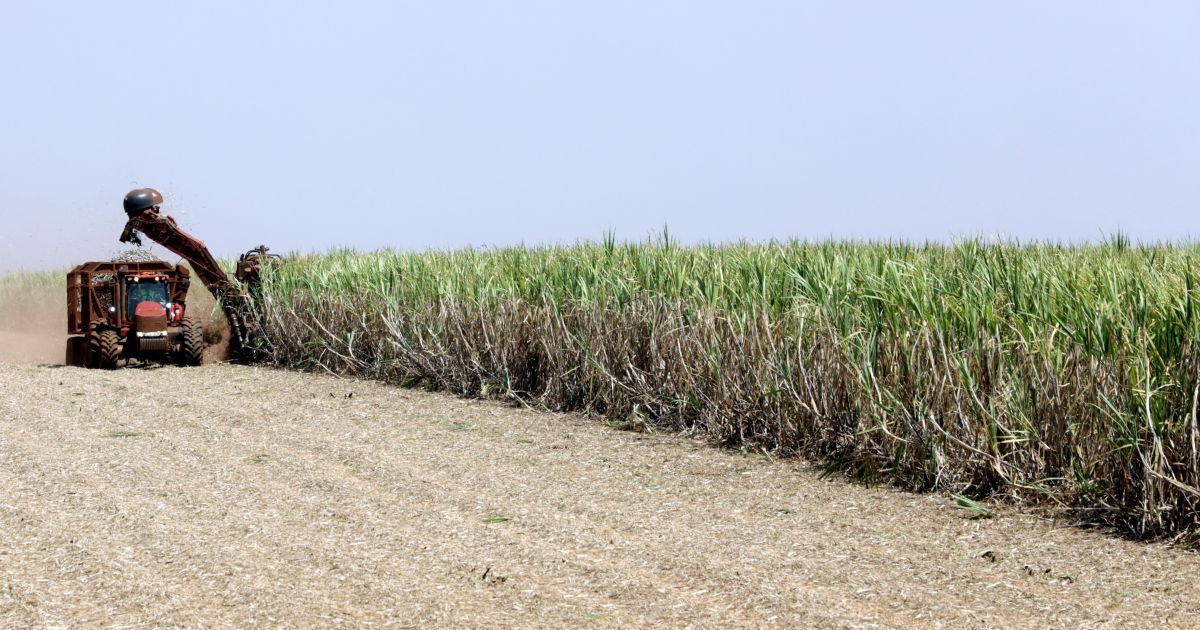 Paraguai regulamenta a Lei do Etanol com 50% de etanol de cana-de-açúcar para fortalecer indústria nacional e gerar empregos
