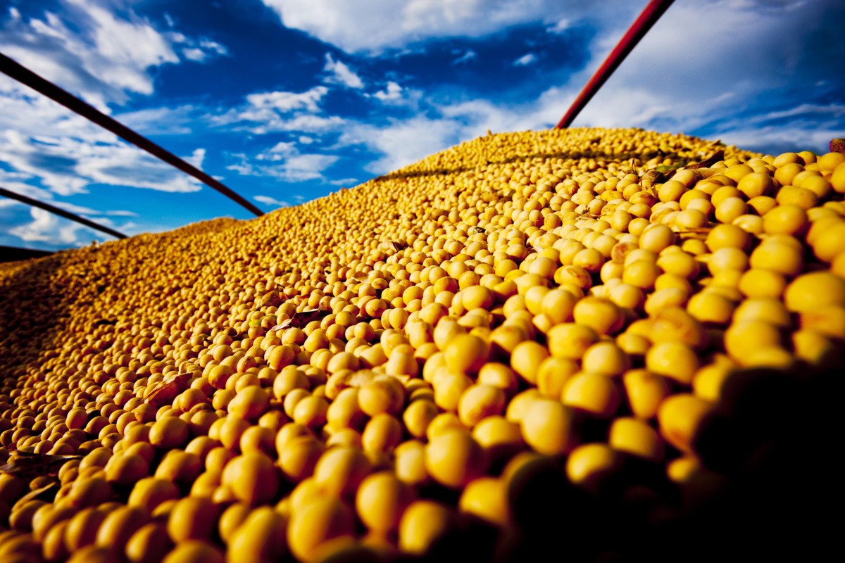 Colheita Recorde de Soja no Brasil: Preços Baixos e Venda Lenta Ameaçam Margens dos Produtores