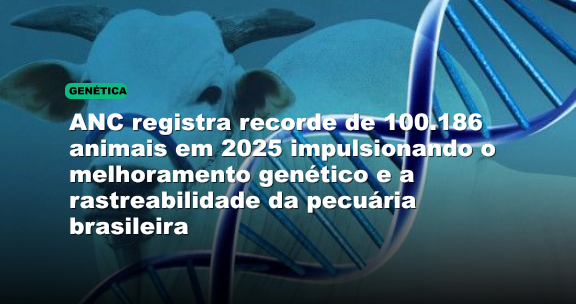 ANC registra recorde de 100.186 animais em 2025 impulsionando o melhoramento genético e a rastreabilidade da pecuária brasileira