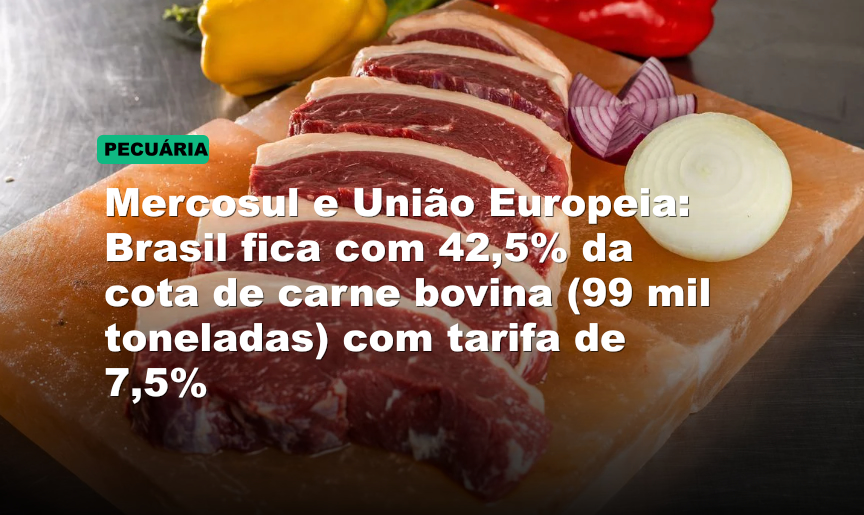 Mercosul e União Europeia: Brasil fica com 42,5% da cota de carne bovina (99 mil toneladas) com tarifa de 7,5%