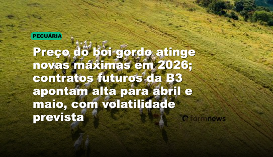 Preço do boi gordo atinge novas máximas em 2026; contratos futuros da B3 apontam alta para abril e maio, com volatilidade prevista