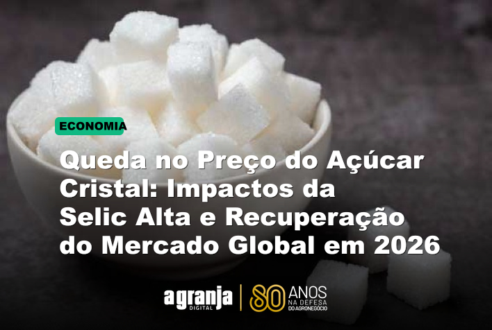 Queda no Preço do Açúcar Cristal: Impactos da Selic Alta e Recuperação do Mercado Global em 2026