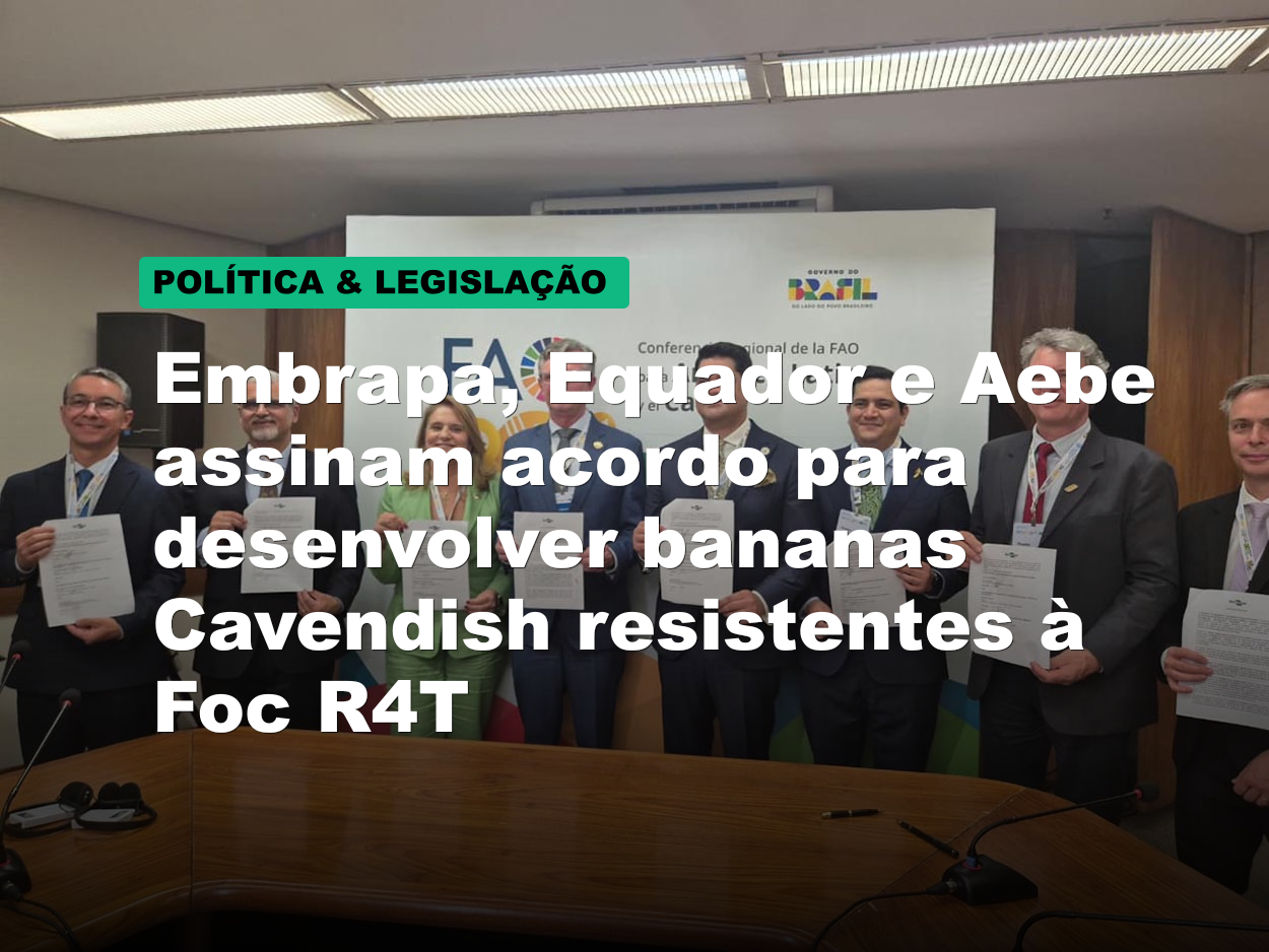 Embrapa, Equador e Aebe assinam acordo para desenvolver bananas Cavendish resistentes à Foc R4T
