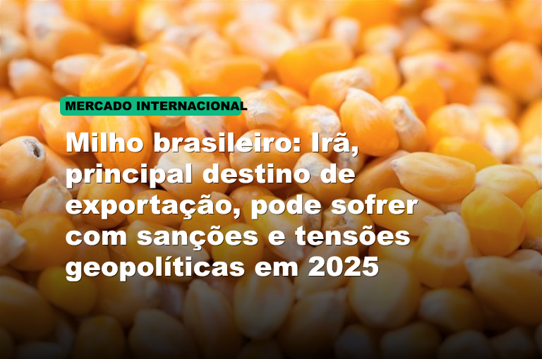 Milho brasileiro: Irã, principal destino de exportação, pode sofrer com sanções e tensões geopolíticas em 2025