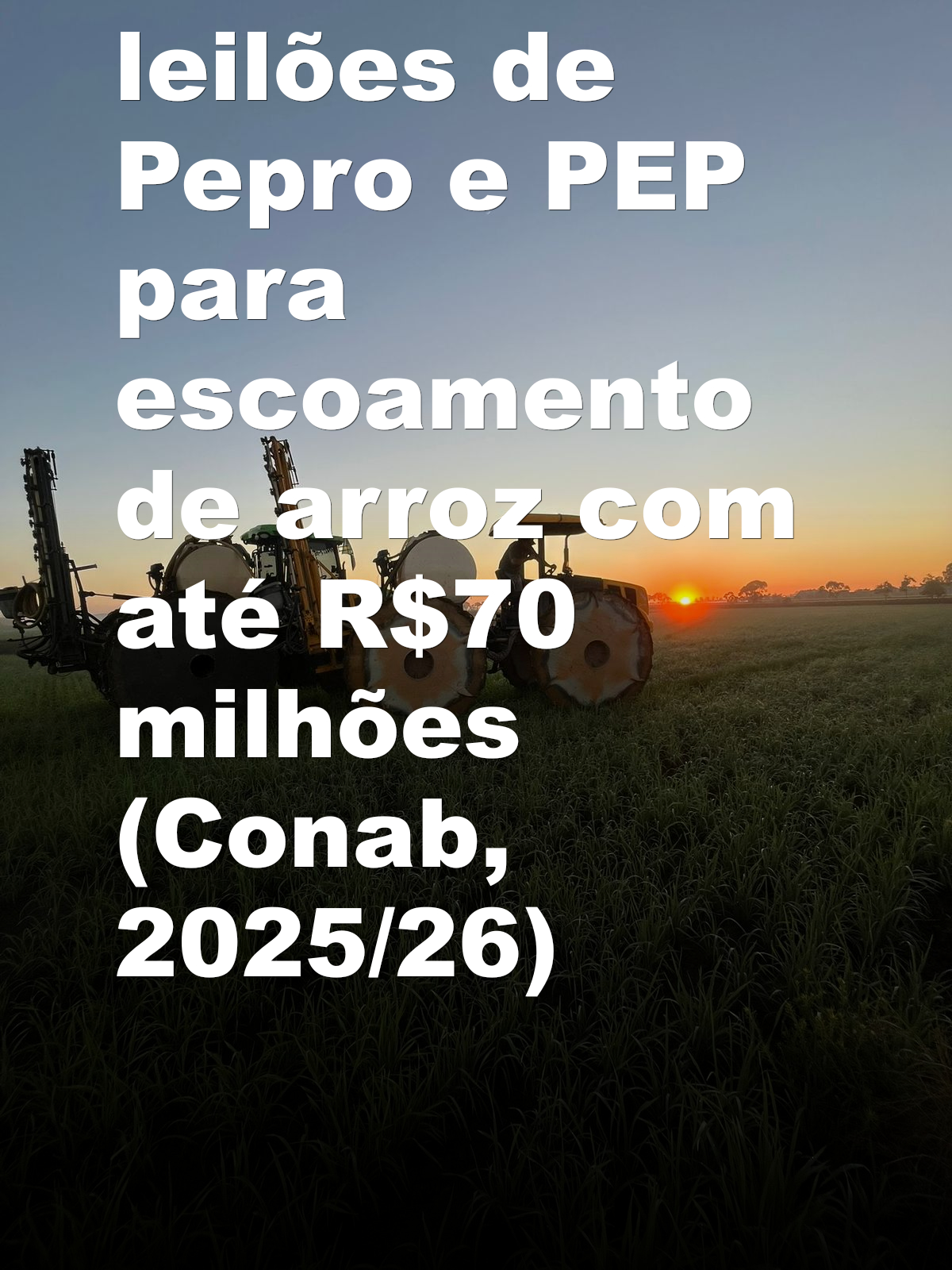 Governo autoriza leilões de Pepro e PEP para escoamento de arroz com até R$70 milhões (Conab, 2025/26)