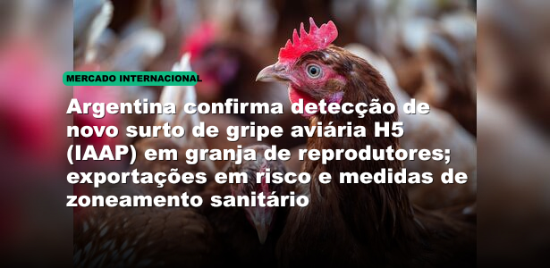 Argentina confirma detecção de novo surto de gripe aviária H5 (IAAP) em granja de reprodutores; exportações em risco e medidas de zoneamento sanitário