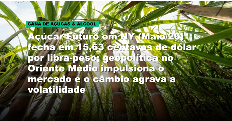 Açúcar Futuro em NY (Maio/26) fecha em 15,63 centavos de dólar por libra-peso; geopolítica no Oriente Médio impulsiona o mercado e o câmbio agrava a volatilidade