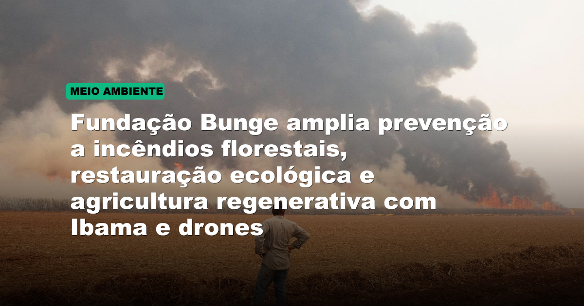 Fundação Bunge amplia prevenção a incêndios florestais, restauração ecológica e agricultura regenerativa com Ibama e drones