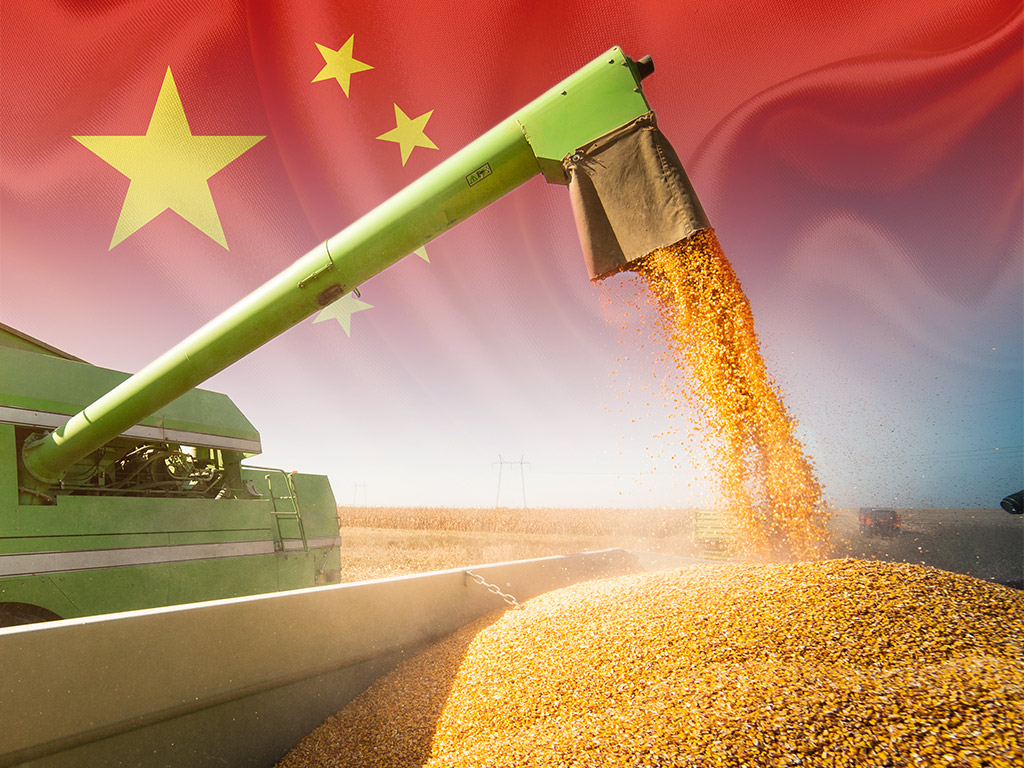 "China Bate Recorde de Produção de Grãos em 2025: Avanço Tecnológico Impulsiona Setor Agrícola"