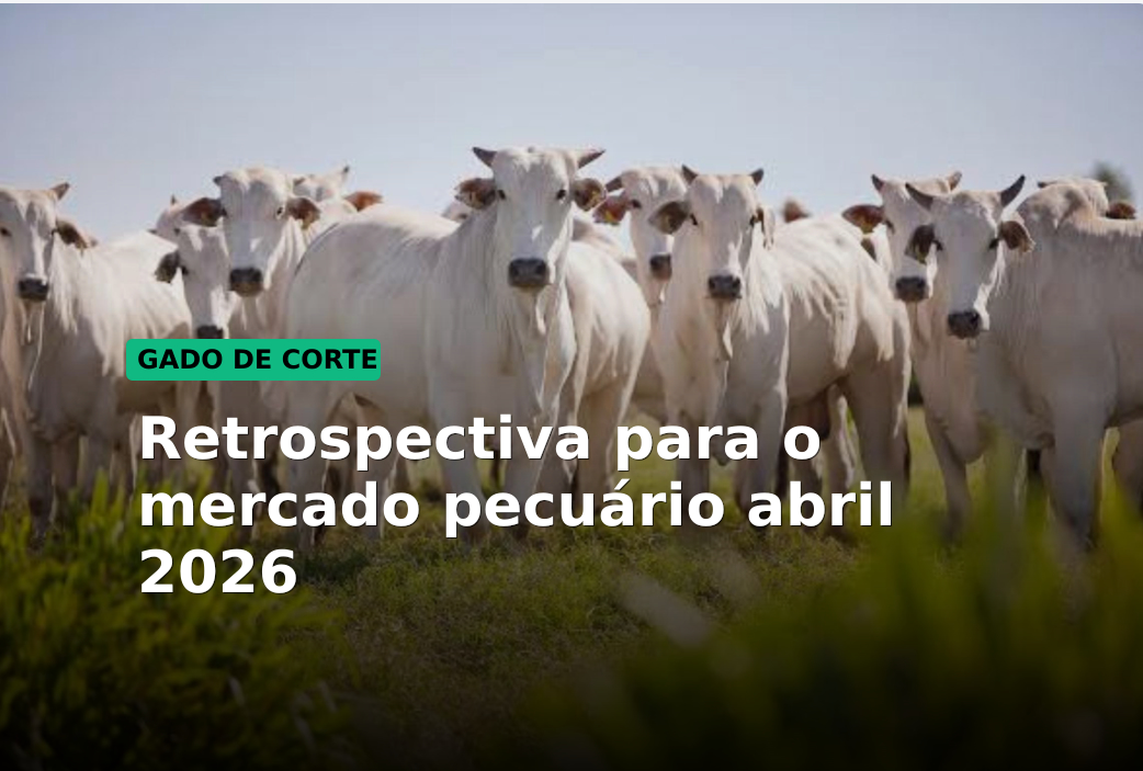 Retrospectiva para o mercado pecuário abril 2026