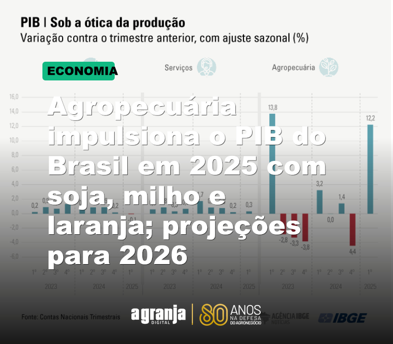 Agropecuária impulsiona o PIB do Brasil em 2025 com soja, milho e laranja; projeções para 2026