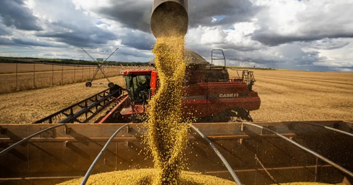 "Agronegócio Brasileiro: Produção de Grãos Dobra e Alavanca Economia com Inovação e Sustentabilidade"