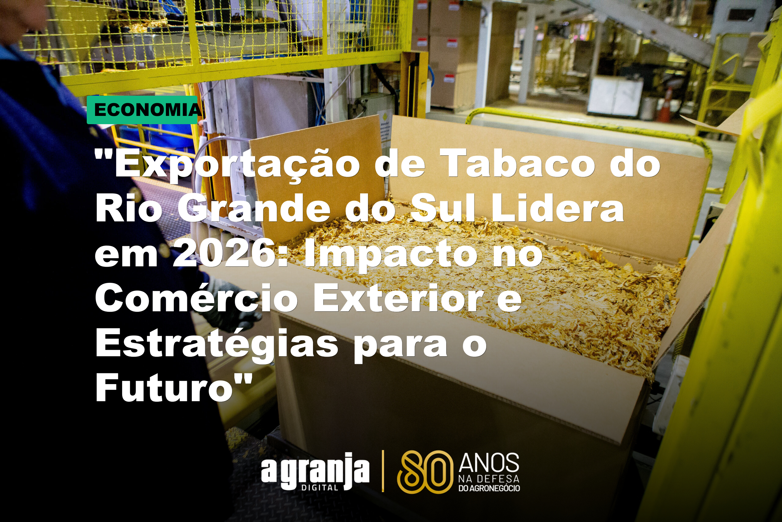 "Exportação de Tabaco do Rio Grande do Sul Lidera em 2026: Impacto no Comércio Exterior e Estratégias para o Futuro"