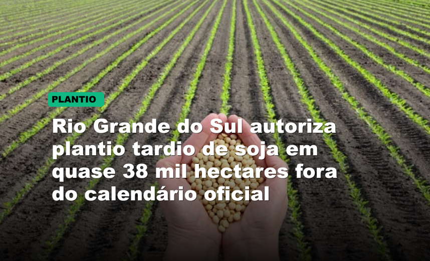 Rio Grande do Sul autoriza plantio tardio de soja em quase 38 mil hectares fora do calendário oficial