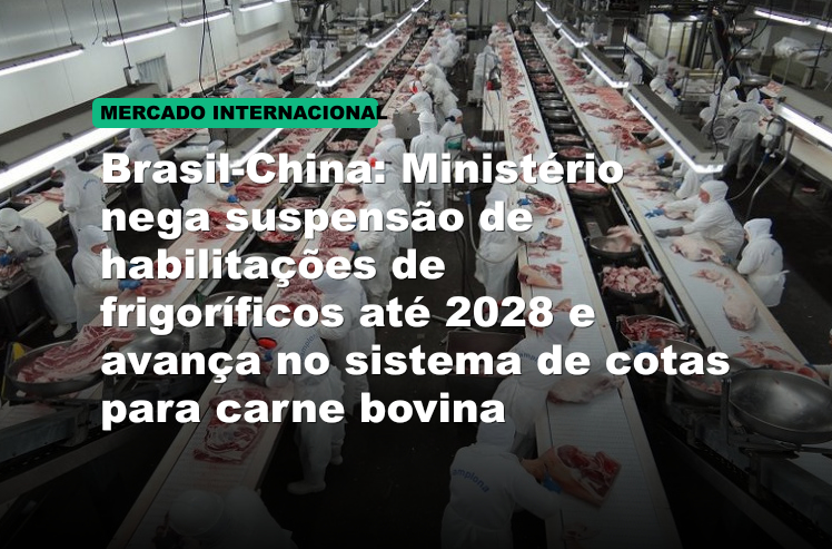 Brasil-China: Ministério nega suspensão de habilitações de frigoríficos até 2028 e avança no sistema de cotas para carne bovina