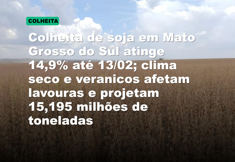 Colheita de soja em Mato Grosso do Sul atinge 14,9% até 13/02; clima seco e veranicos afetam lavouras e projetam 15,195 milhões de toneladas
