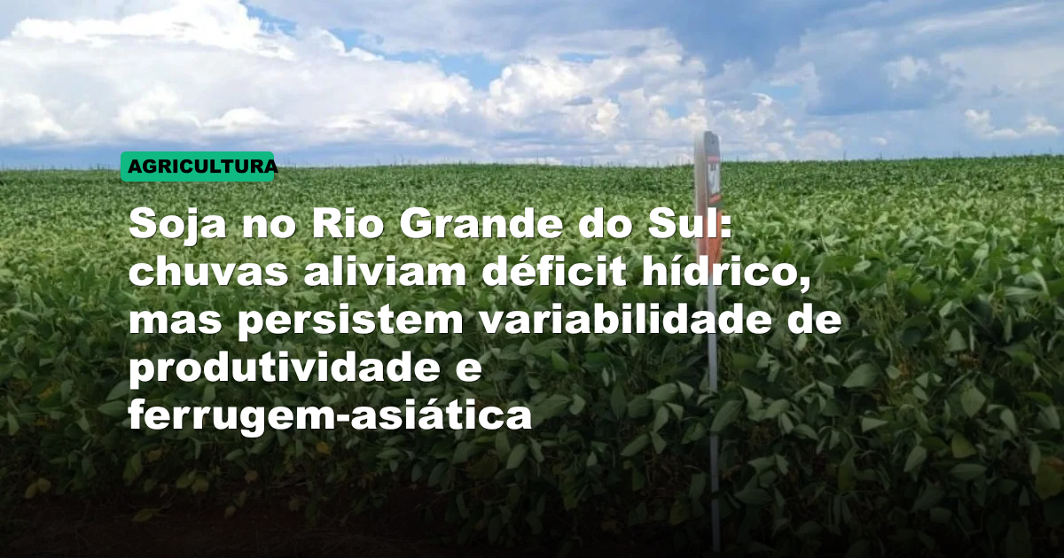 Soja no Rio Grande do Sul: chuvas aliviam déficit hídrico, mas persistem variabilidade de produtividade e ferrugem-asiática