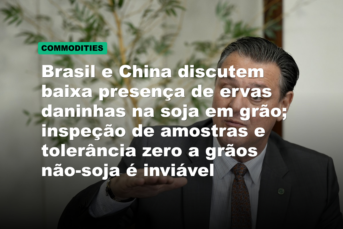 Brasil e China discutem baixa presença de ervas daninhas na soja em grão; inspeção de amostras e tolerância zero a grãos não-soja é inviável