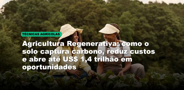 Agricultura Regenerativa: como o solo captura carbono, reduz custos e abre até US$ 1,4 trilhão em oportunidades
