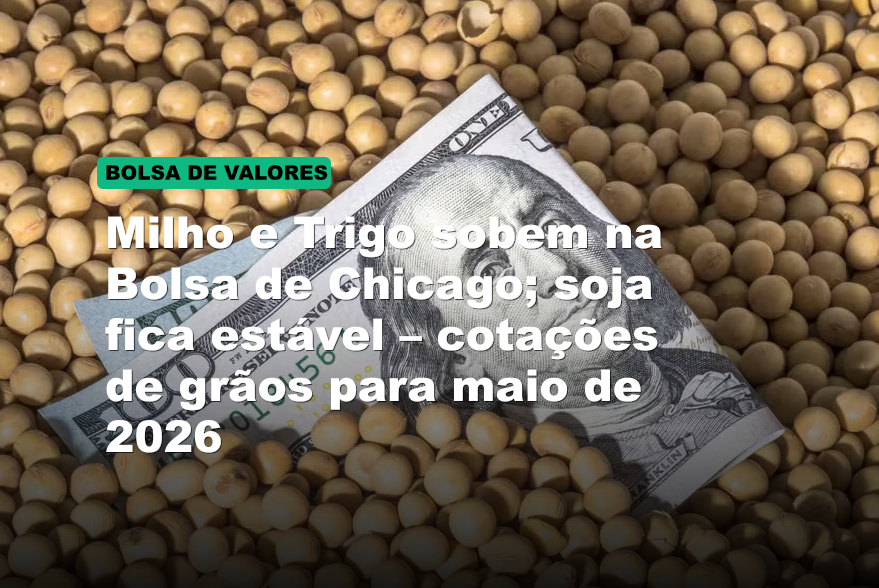 Milho e Trigo sobem na Bolsa de Chicago; soja fica estável – cotações de grãos para maio de 2026
