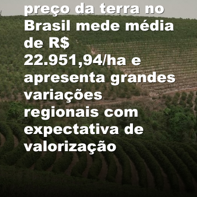 Atlas do Mercado de Terras 2025: preço da terra no Brasil mede média de R$ 22.951,94/ha e apresenta grandes variações regionais com expectativa de valorização
